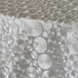 Silver Coin - view 1