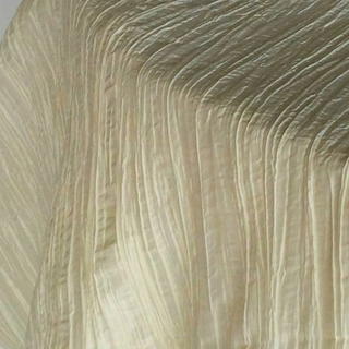 Champagne Crinkled Taffeta - DISCONTINUED - view 1