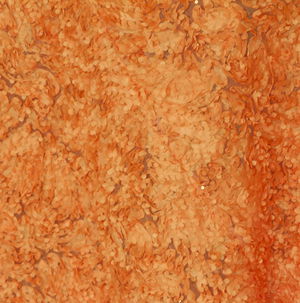 Orange Heather - DISCONTINUED
