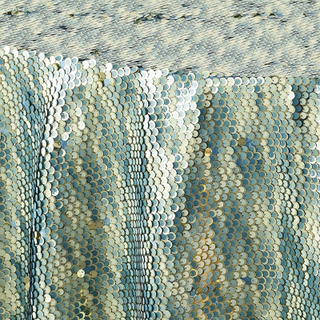 Blue Scale - view 1