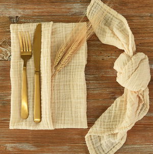 Ivory Terra Napkin