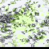 Green Bloom Charger