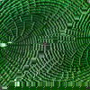 Evergreen Basket Placemat