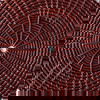 Crimson Basket Placemat