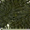 Fern Naya Placemat
