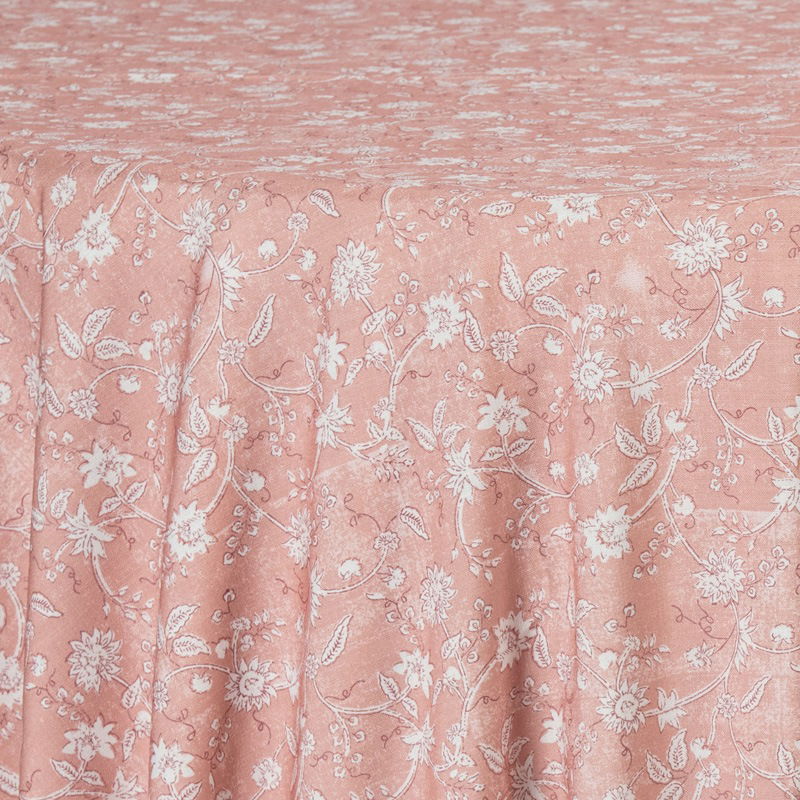 Soft Coral Martina