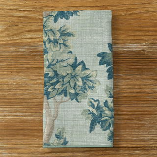 Sagebrush Silas - view 7