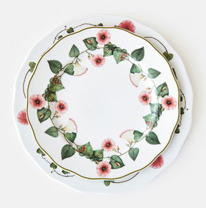 Ivy Cabana Dinnerware