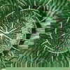 Green Cabbage Dinnerware