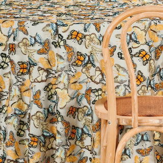 Cantaloupe Papillon - view 2