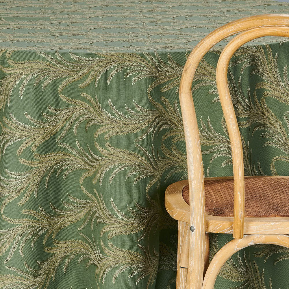 Fern Perpetua - view 2 of 7