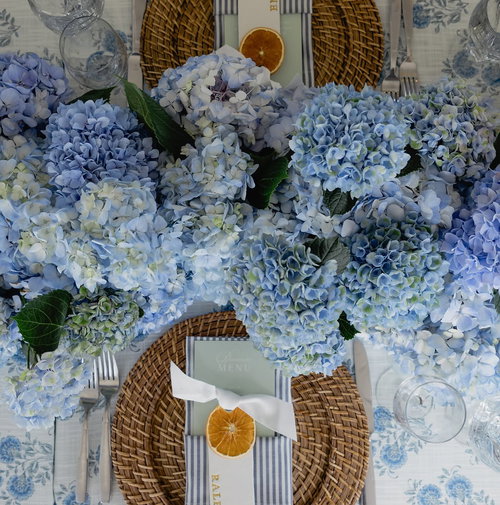 Blue Mirabel - customer photo